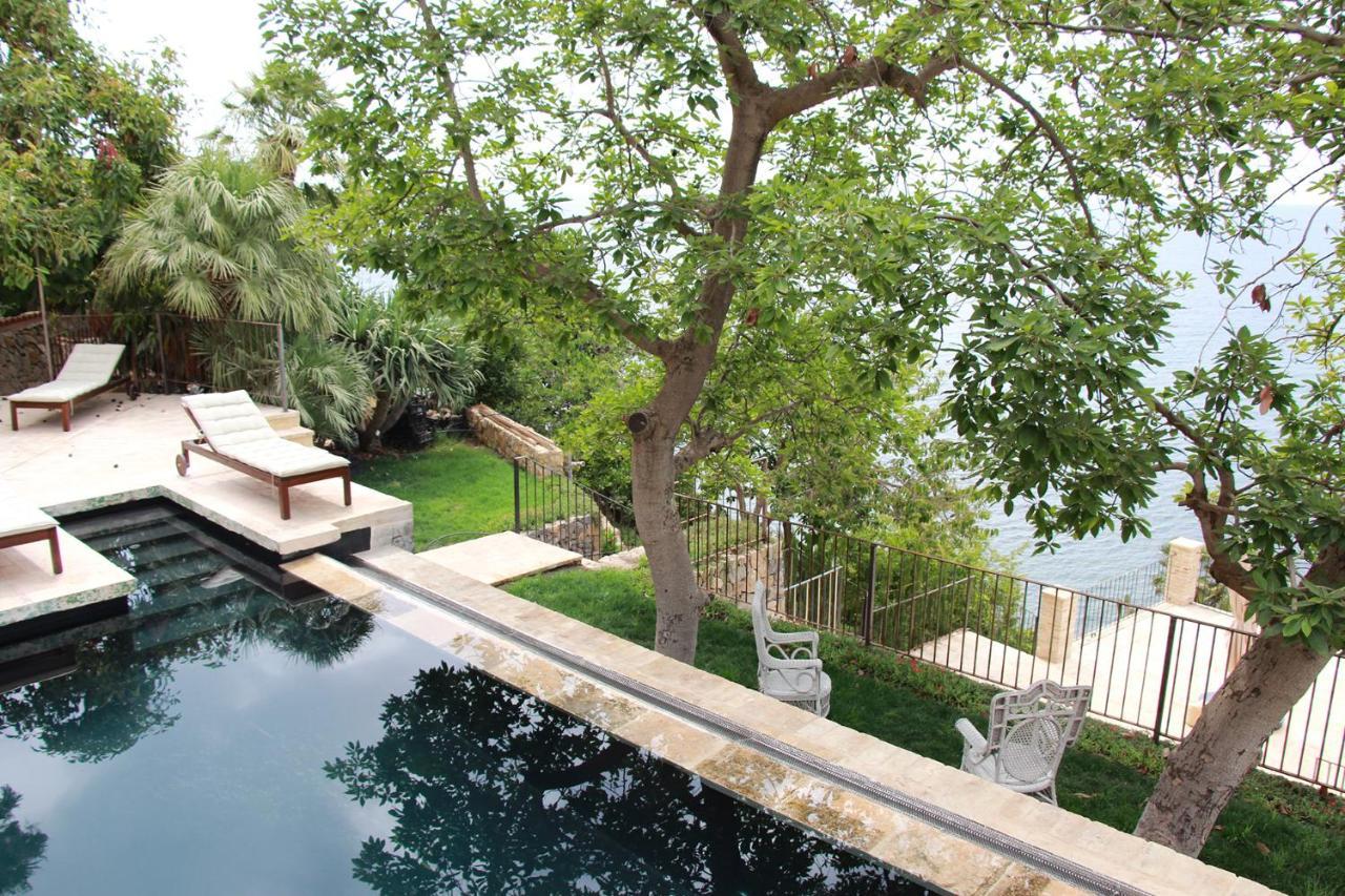 El Jardin Botanico Villa Luz Altea Ngoại thất bức ảnh